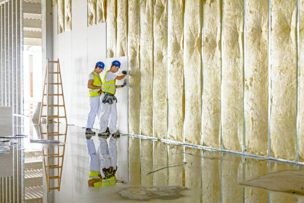 Best Eco-Friendly Insulation in Plymouth Meeting, PA